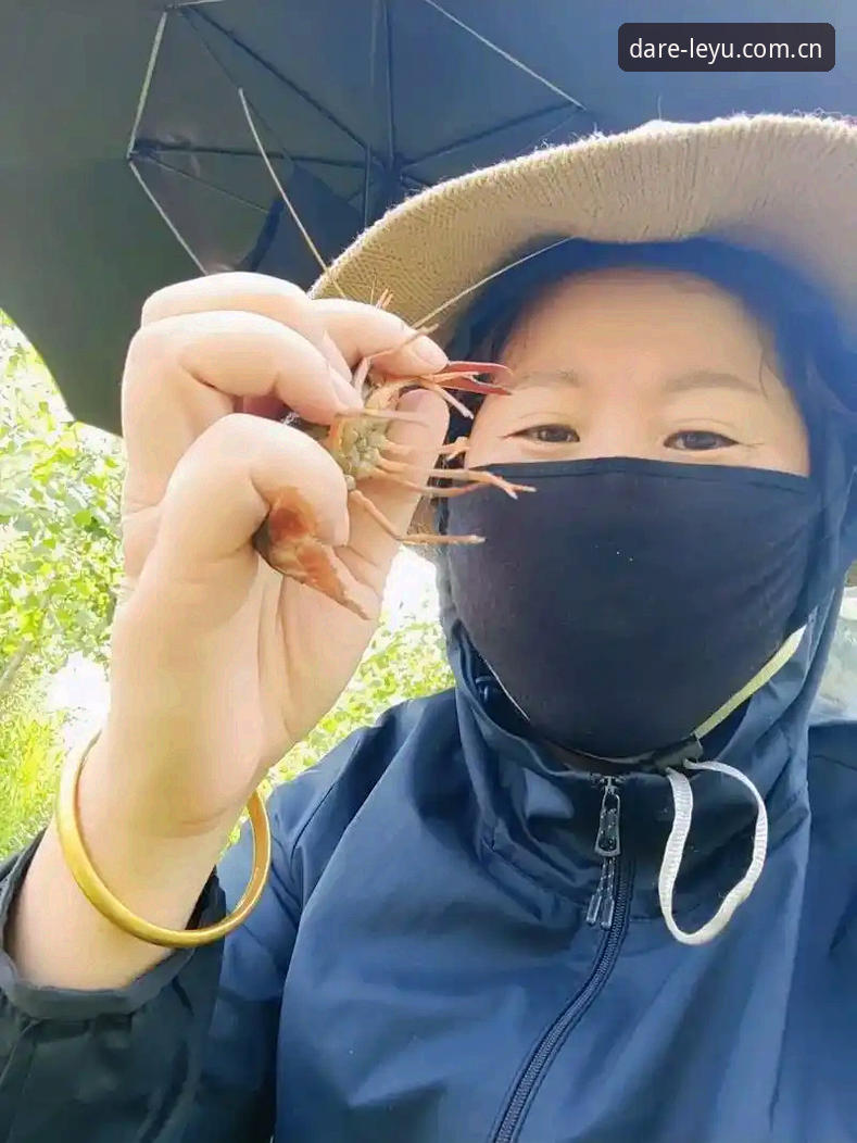 LEYU平台评测官方下载 LEYU平台评测官方下载,一张网里捞鱼还是摸虾?